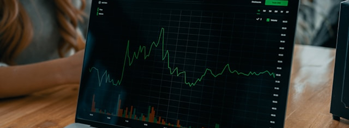 startup team focused on strategy and growth